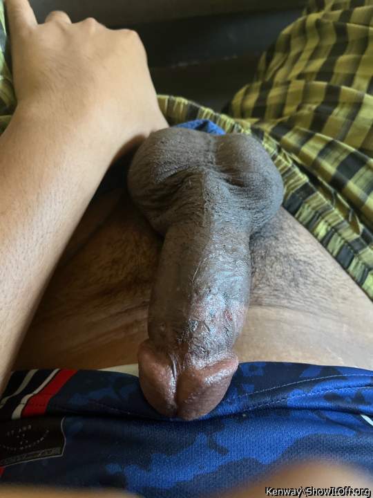 Photo of a ram rod from Kenway