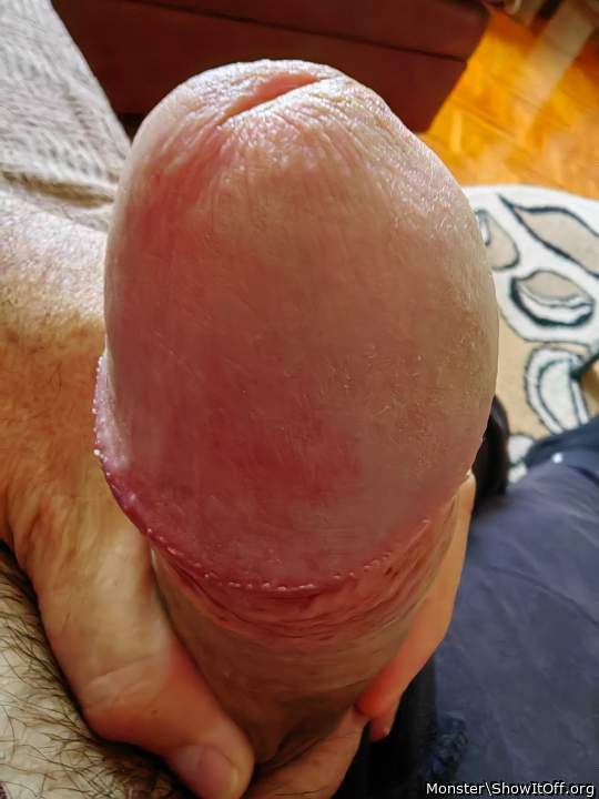 Photo of a bat from Monster