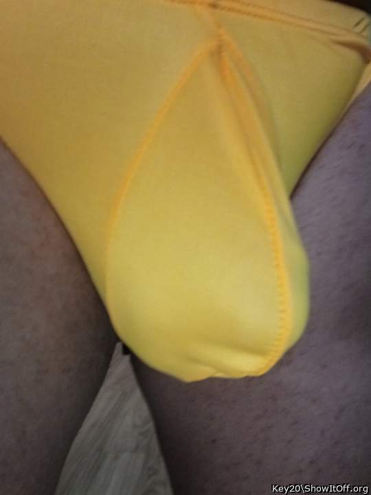 Photo of a weasel from Key20