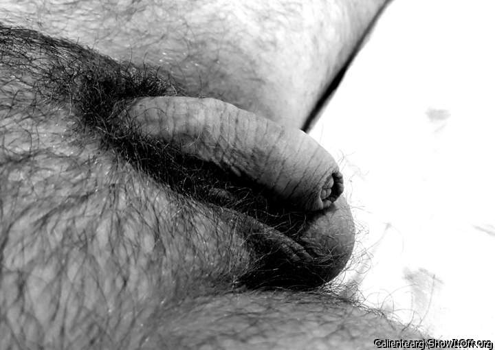 Nice uncircumcised cock at rest, sitting on those big balls 