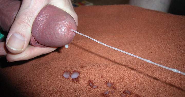 Photo of a wiener from greenbelt