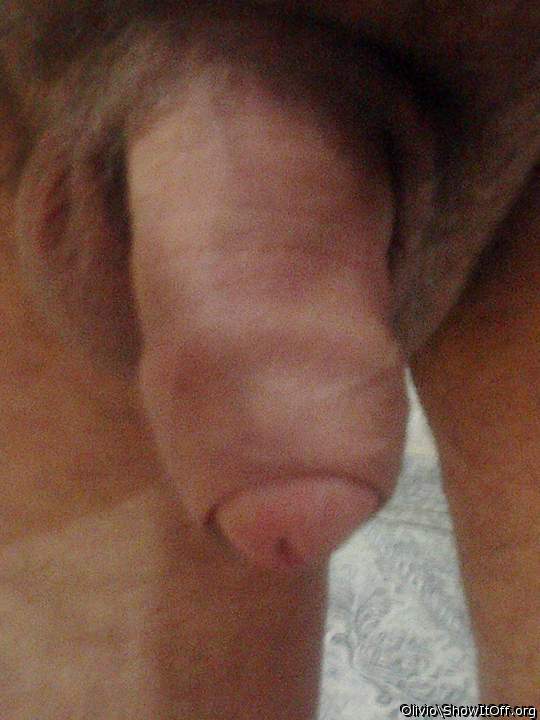 Photo of a drain pipe from olivio