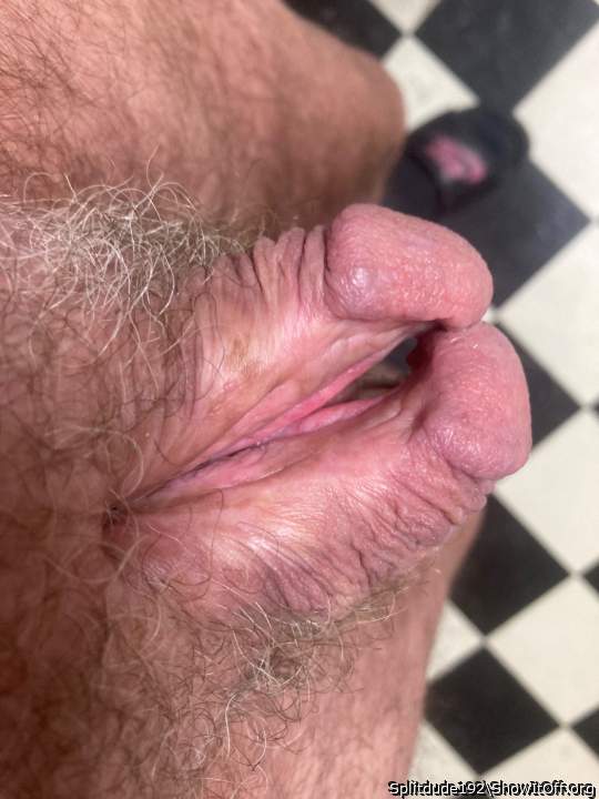 Photo of a snake from Splitdude192