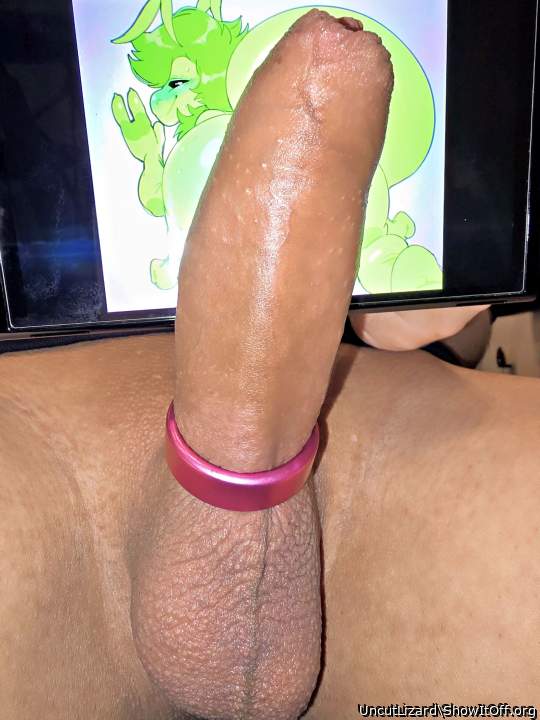 Photo of a rooster from UncutLizard