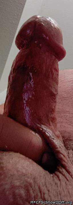 Photo of a snake from M*C*S