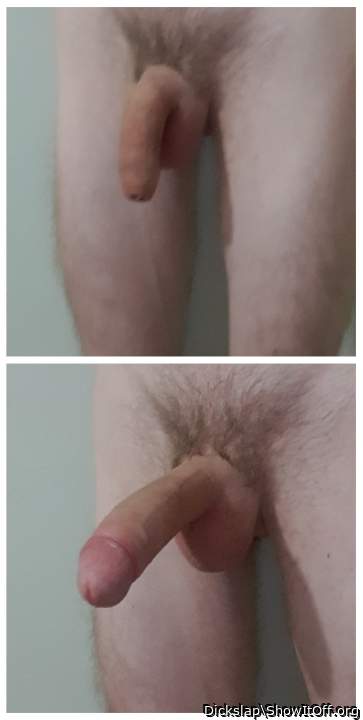 Photo of a dong from Dickslap