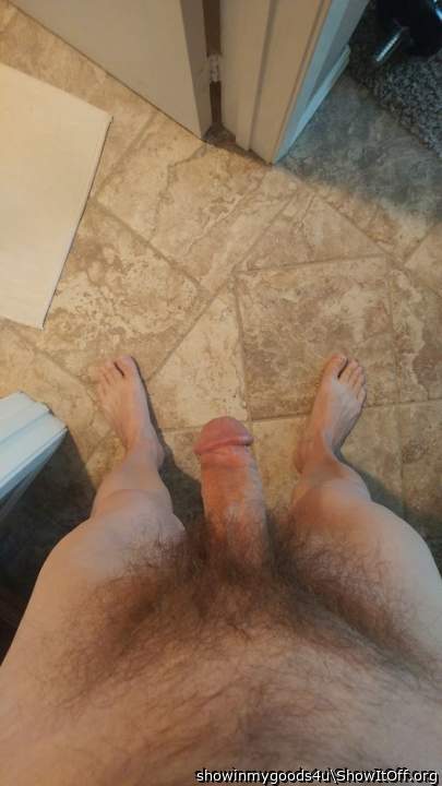 My bush