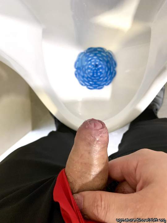 Photo of a horn from sgmature