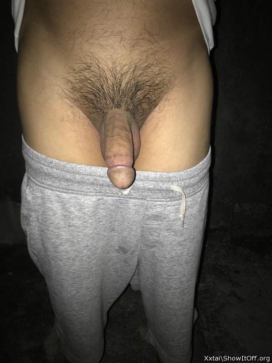 Photo of a snake from Xxtai