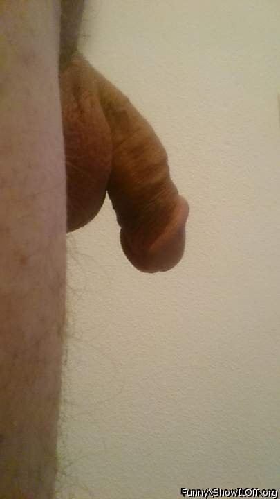 Photo of a ram rod from Funny