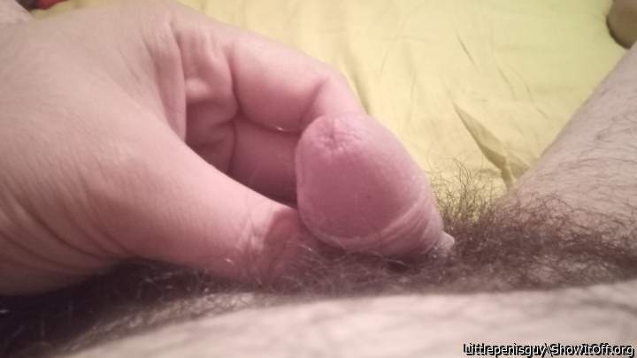 My little limp cock