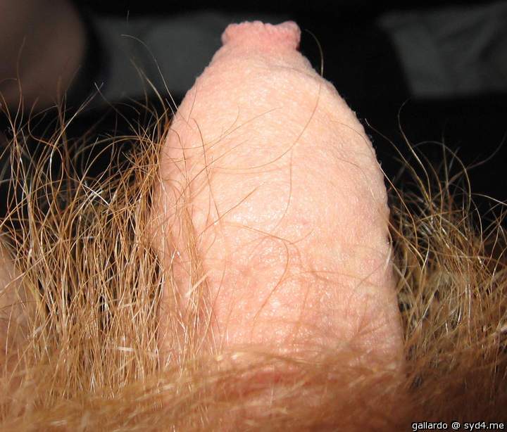 My Cock