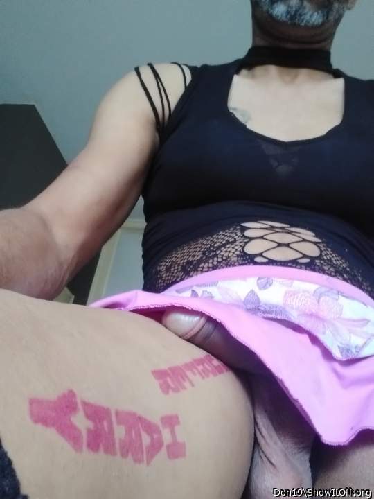 Photo of a weasel from Don19