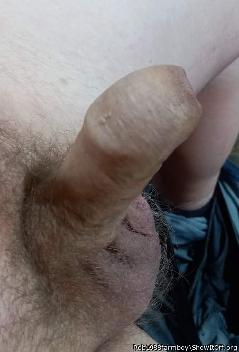 Fully erect fully covered