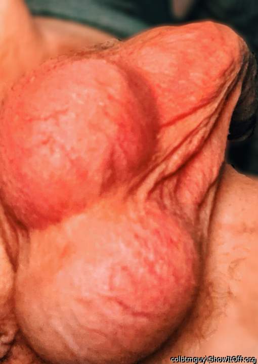 Testicles Photo from colbtmguy