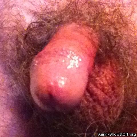 Photo of a horn from Arinn