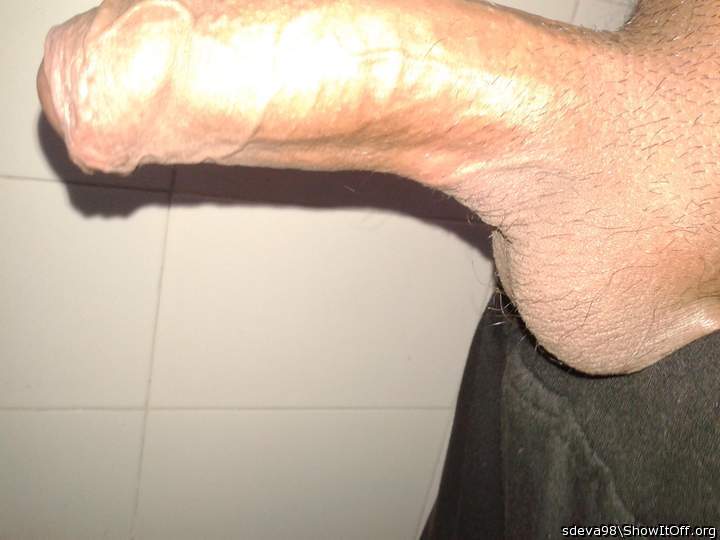 Photo of a horn from sdeva98