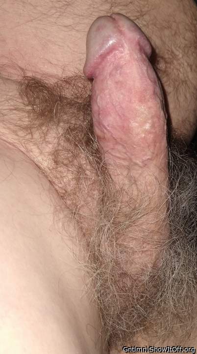 Morning