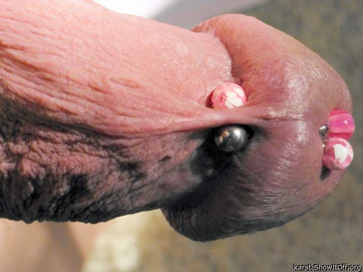 Photo of a pecker from karst