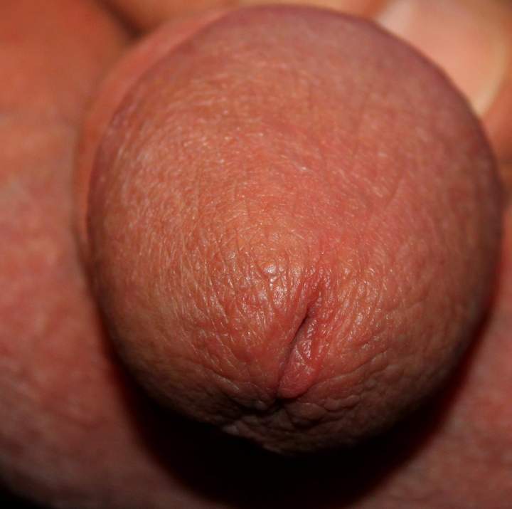 Photo of a dong from lilsoftee