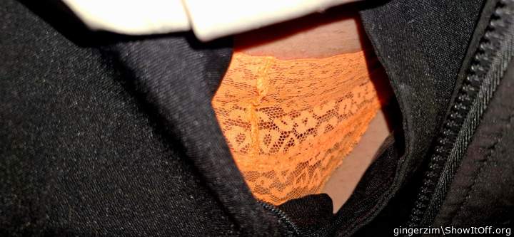 Photo of a snake from gingerzim