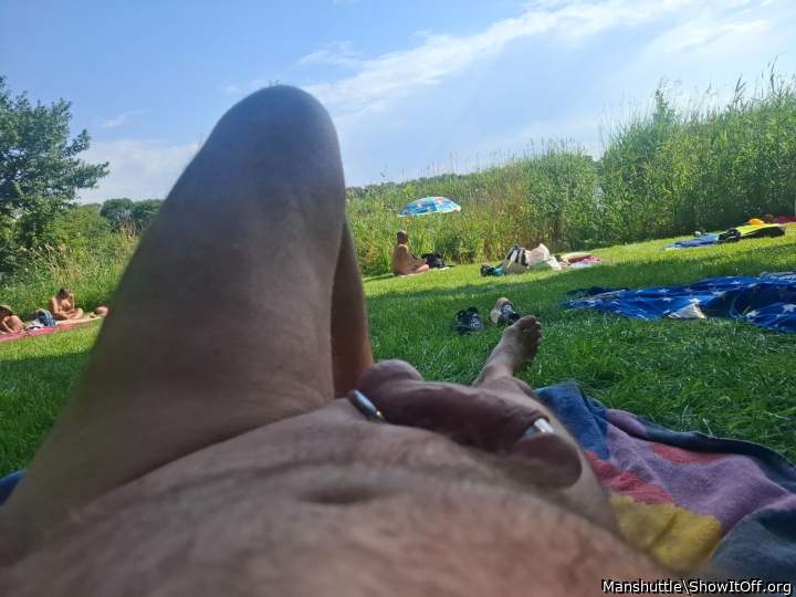 Photo of a lizard from Manshuttle
