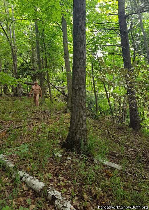 Love the woods...