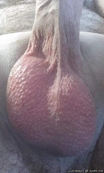 Shaved balls