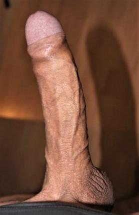 Photo of a python from zukunft