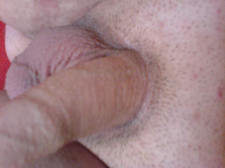 Photo of a weasel from boy1987