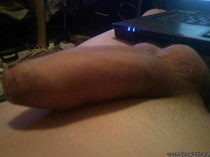 My uncut dick