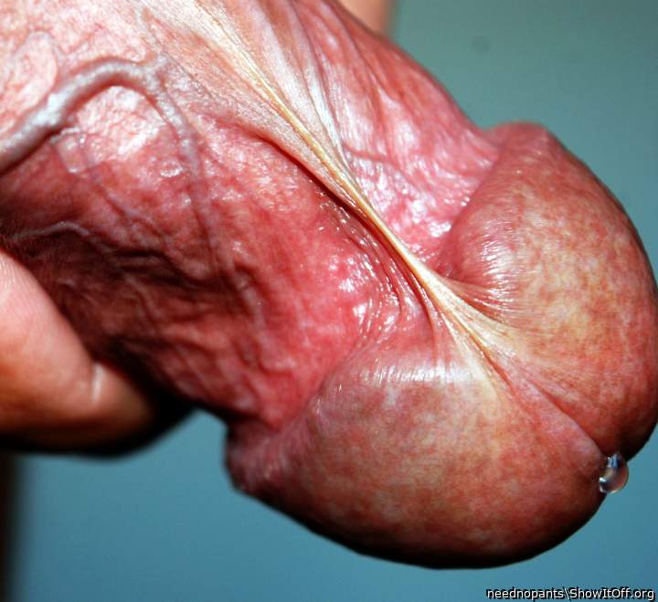 Photo of a bald-headed mouse from neednopants