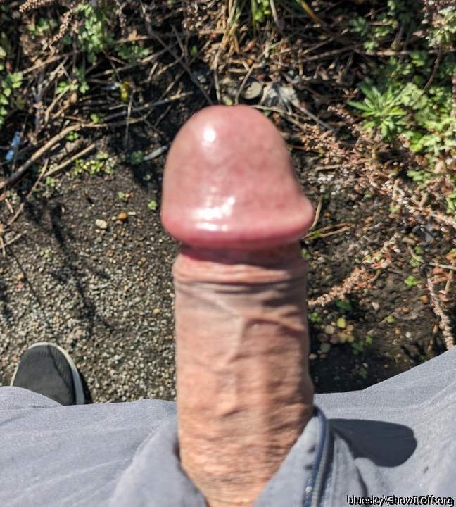 Photo of a wiener from bluesky