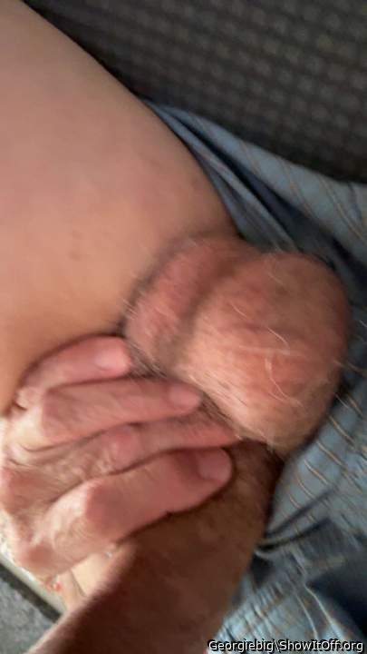 Photo of a middle leg from Georgiebig