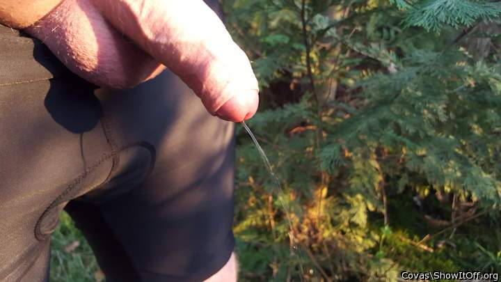 Photo of a penile from covas