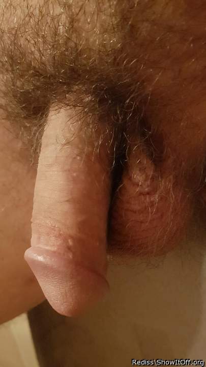 Photo of a sausage from Rediss