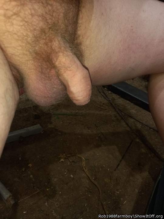 Photo of a love stick from Rob1988farmboy