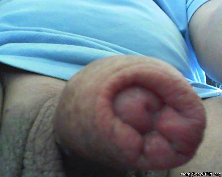 Photo of a third leg from alanj