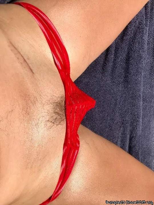 Photo of a weasel from Rumpled1