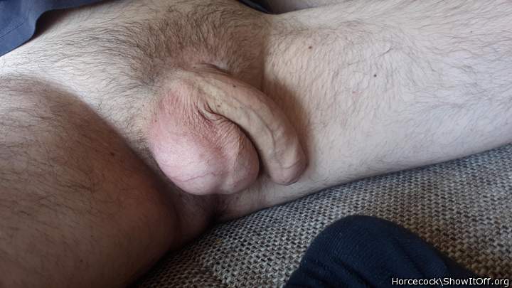 Testicles Photo from massivecock