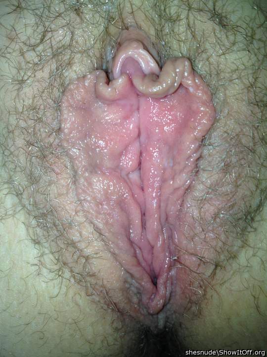 Harry pussy