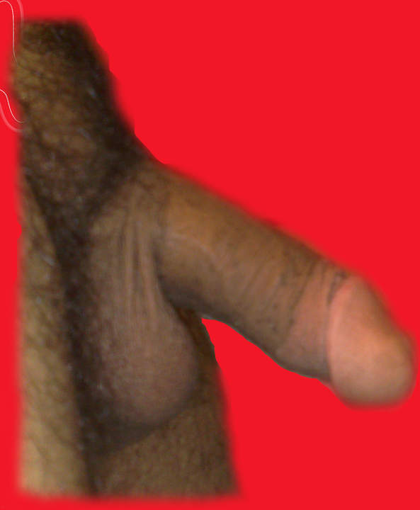 Photo of a horn from sultan