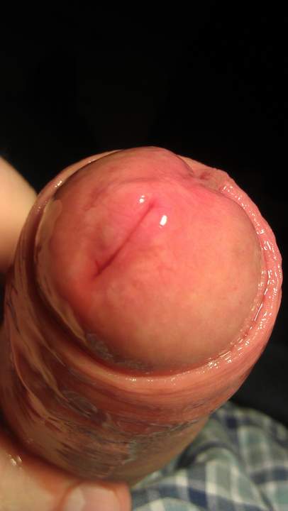 Photo of a stiffie from Vanillacum