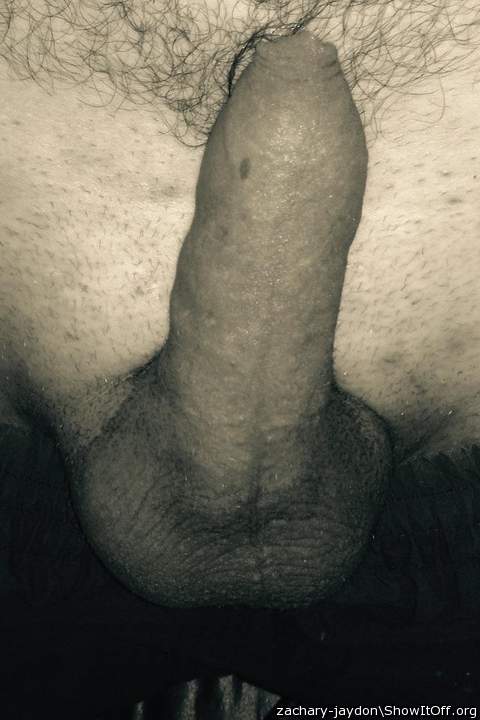 Testicles Photo from Boerseun