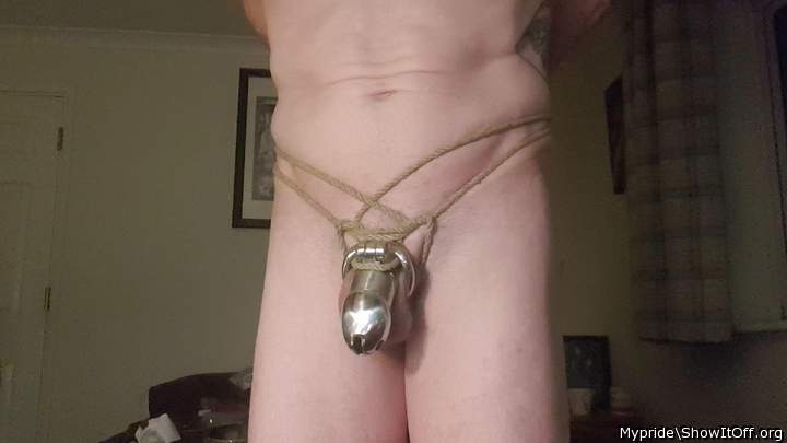 Photo of a power tool from Mypride