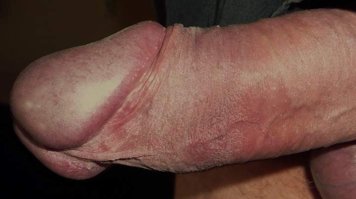 Mind if I slip my mouth around your beautiful cock? My tongu