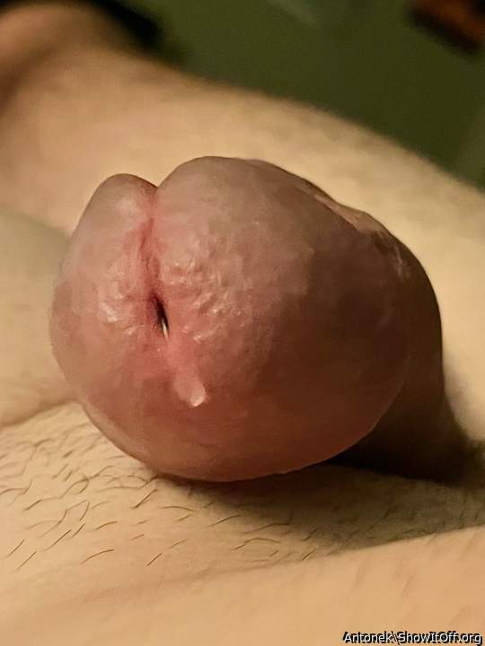 Nice head of the dick.
