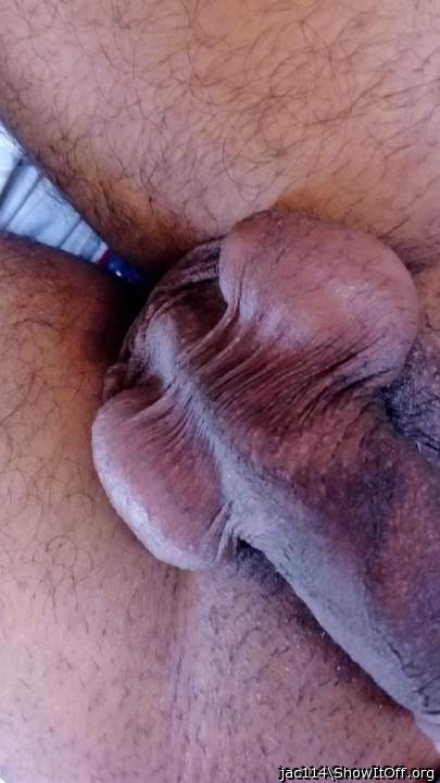 beautiful testicles  