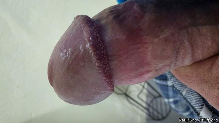 Photo of a bald-headed mouse from Paul