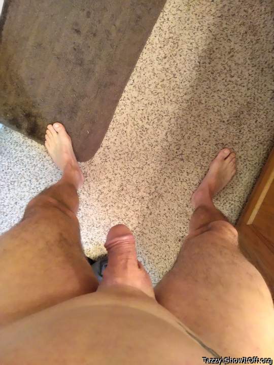 Photo of a cock from Tazzy